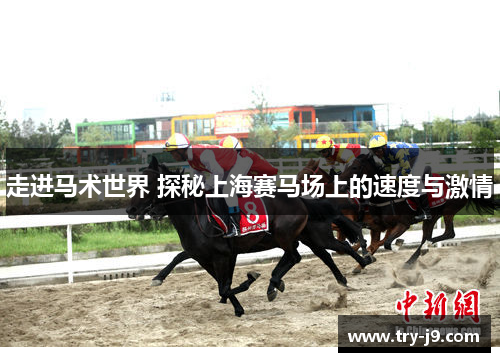 走进马术世界 探秘上海赛马场上的速度与激情